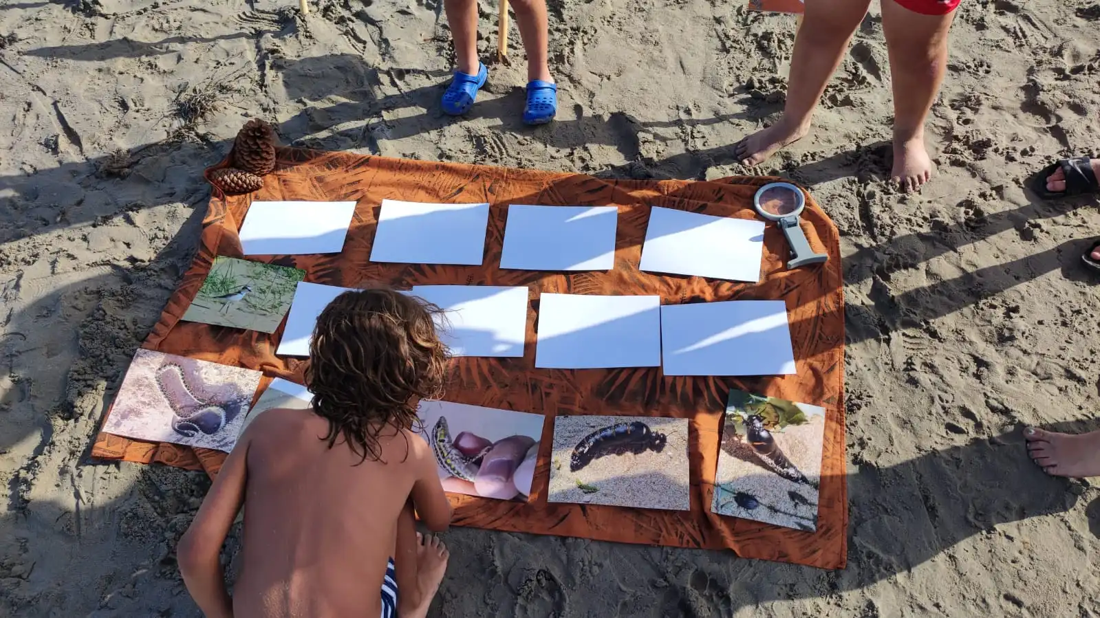 memorias-accion-en-playas-.-foto-7